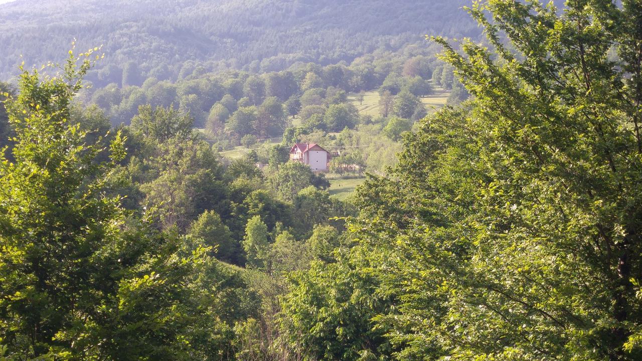 Casa Din Piatra 호텔 Poiana  외부 사진