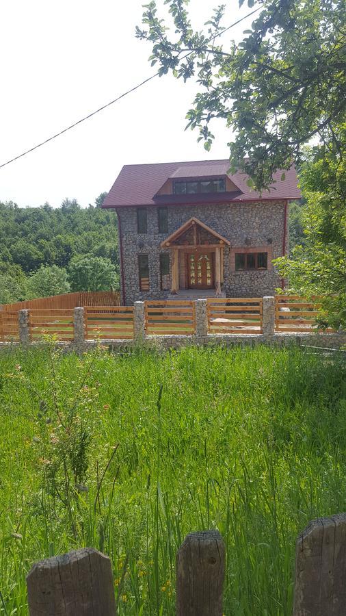 Casa Din Piatra 호텔 Poiana  외부 사진