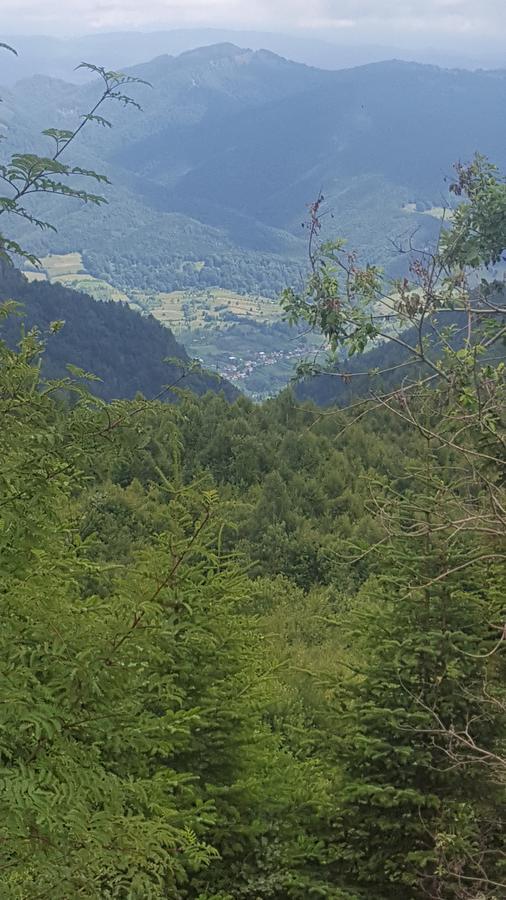 Casa Din Piatra 호텔 Poiana  외부 사진