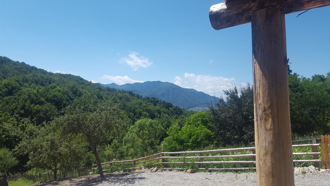 Casa Din Piatra 호텔 Poiana  외부 사진