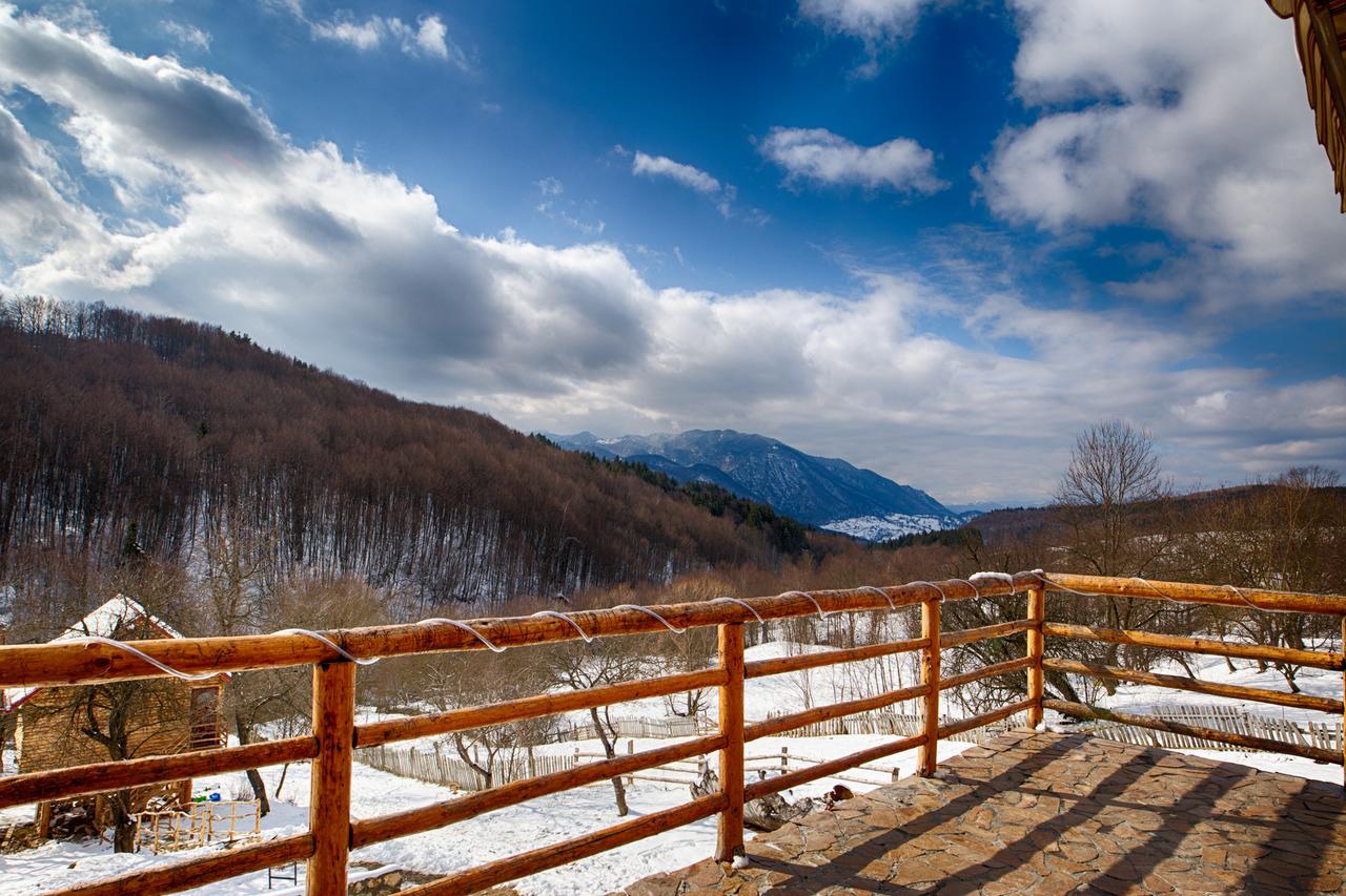 Casa Din Piatra 호텔 Poiana  외부 사진