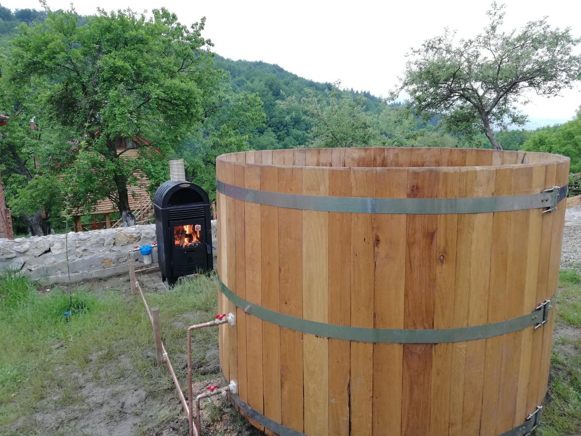 Casa Din Piatra 호텔 Poiana  외부 사진