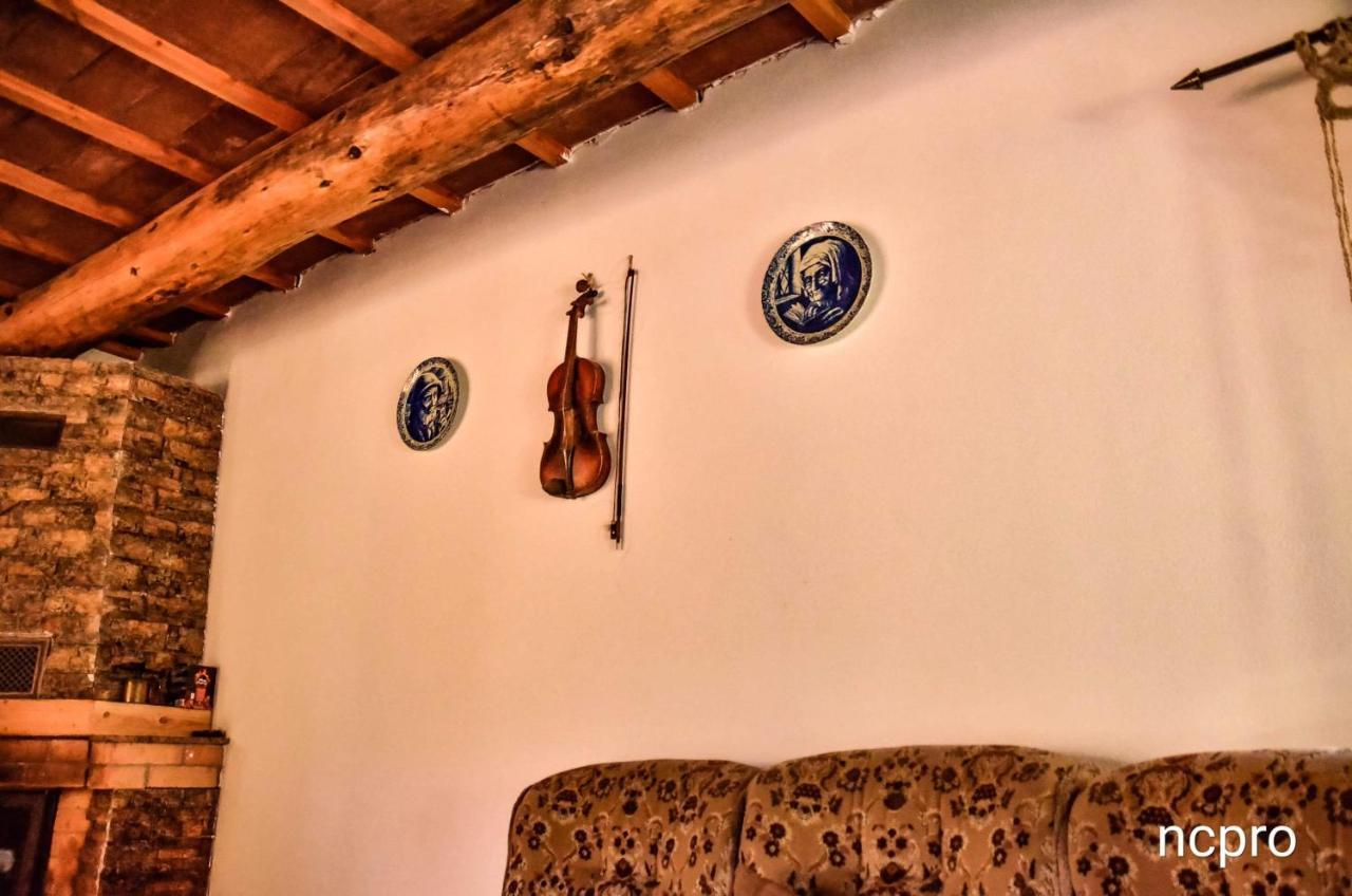 Casa Din Piatra 호텔 Poiana  외부 사진